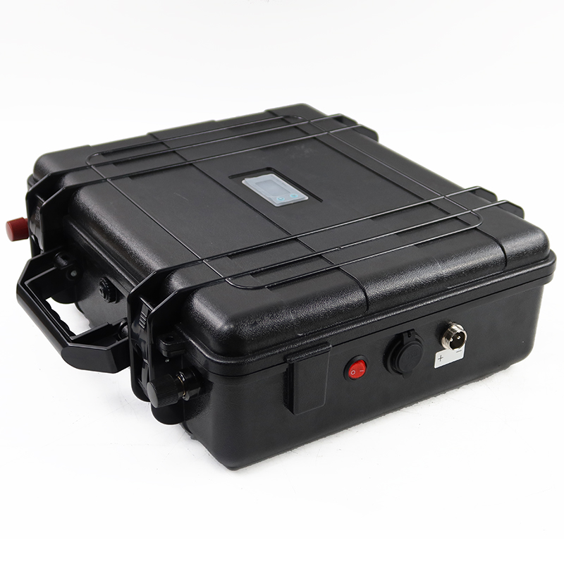 Batteria Bms 24V 1800WH Lifepo4 con involucro manuale da 24 V 75 Ah 
